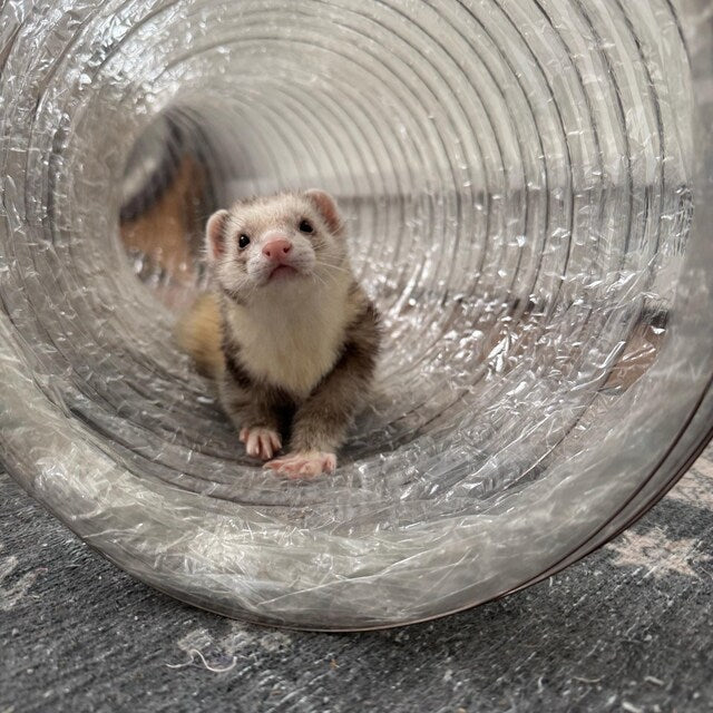 10" Crinkle Tunnel Tubes