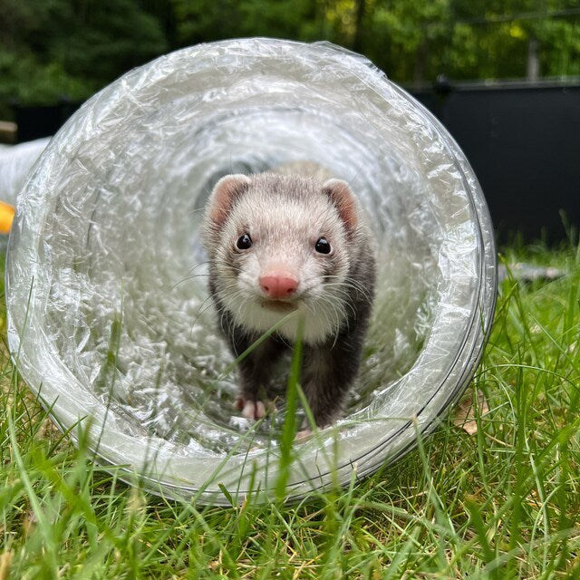 7" Crinkle Tunnel Tubes